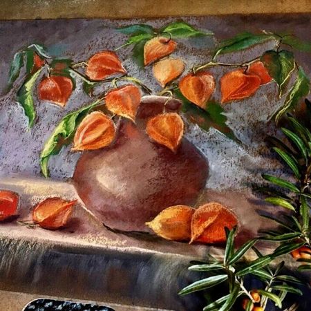 Lampionblumen