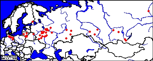 Verbreitung Bombus semenoviellus